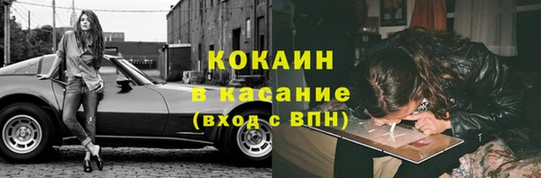 МДПВ Пересвет