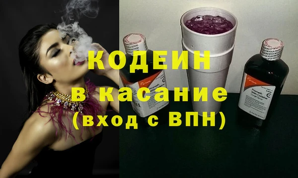 хмурый Осинники