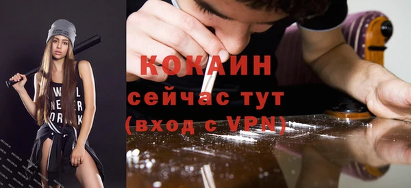 дмт Осташков