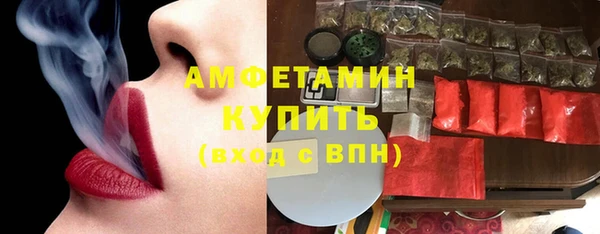 дмт Осташков