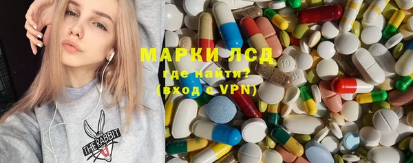 МДПВ Пересвет