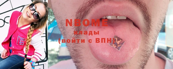 МДПВ Пересвет