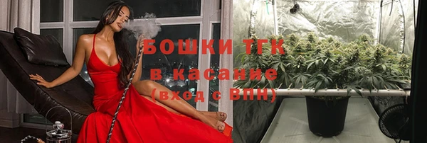 МДПВ Пересвет