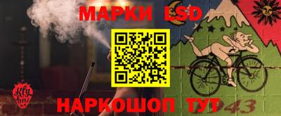 гидра Бийск