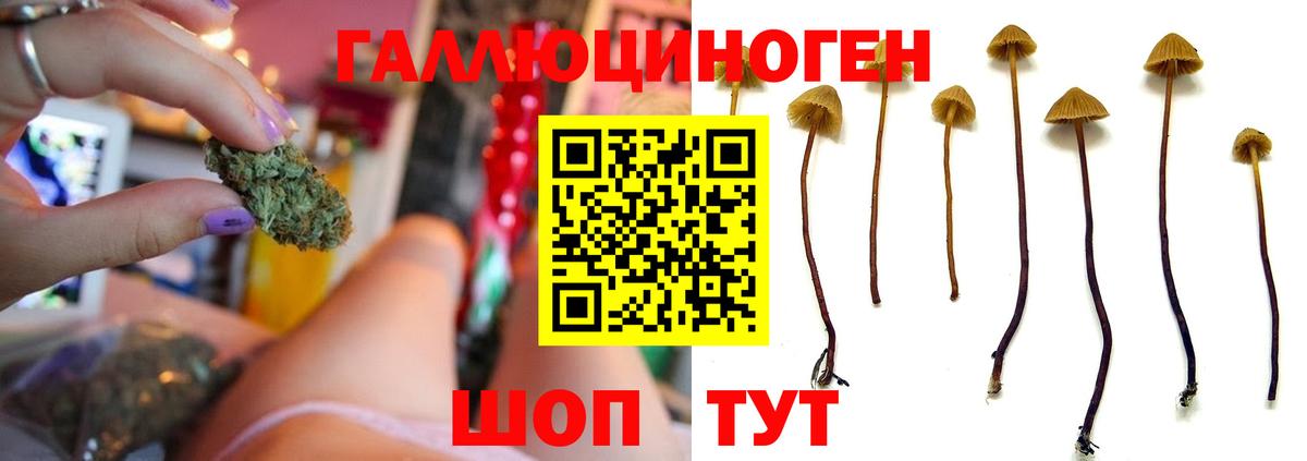 Галлюциногенные грибы GOLDEN TEACHER Калуга