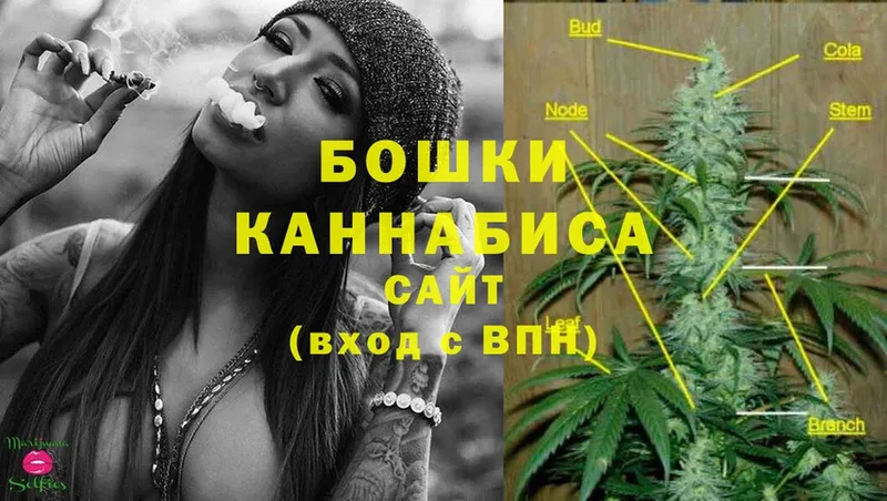 Каннабис SATIVA & INDICA  МЕГА ТОР  Калуга  наркотики 